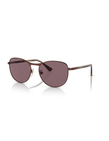 Gafas PERSOL 0PO1002S