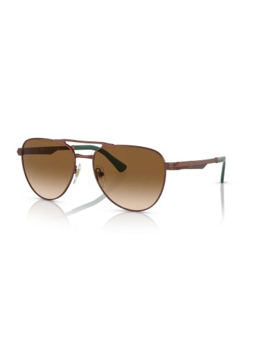 Gafas PERSOL 0PO1003S