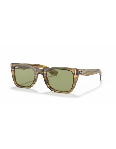 Gafas RAY-BAN 0RB2248