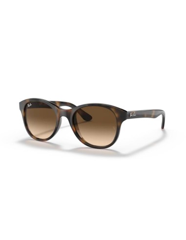 Gafas RAY-BAN 0RB4203